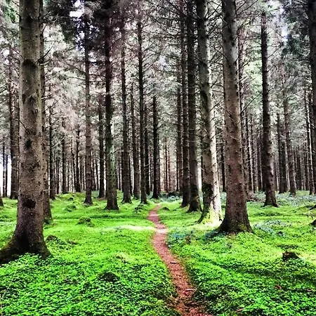 Lakeview Lodge B&B Bed & Breakfast