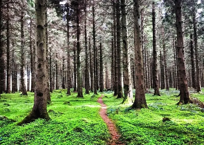 Lakeview Lodge B&B Отель типа 